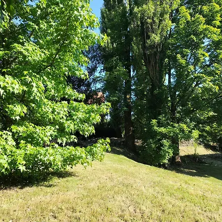 Maison à 8 Min De Saint Dié En Lieu Calme Proche Nature Lacs, Forêt, Parcs