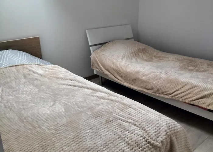 Appartement Maison A 8 Min De Saint En Lieu Calme Proche Nature Lacs, Foret, Parcs