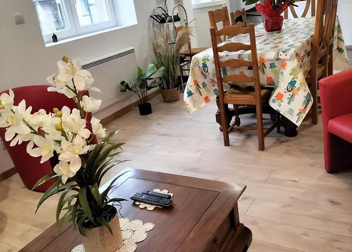 Maison A 8 Min De Saint En Lieu Calme Proche Nature Lacs, Foret, Parcs Appartement Raon-lʼÉtape