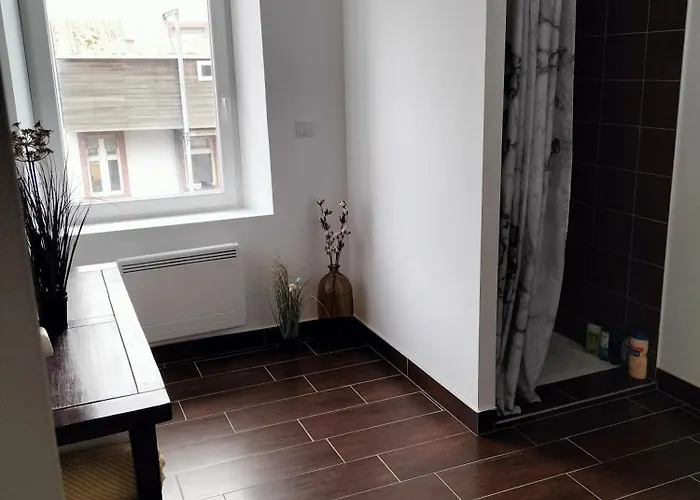 Appartement Maison A 8 Min De Saint En Lieu Calme Proche Nature Lacs, Foret, Parcs Raon-lʼÉtape