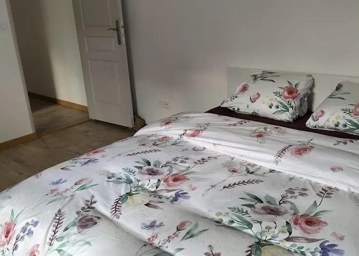 Appartement Maison A 8 Min De Saint En Lieu Calme Proche Nature Lacs, Foret, Parcs Raon-lʼÉtape