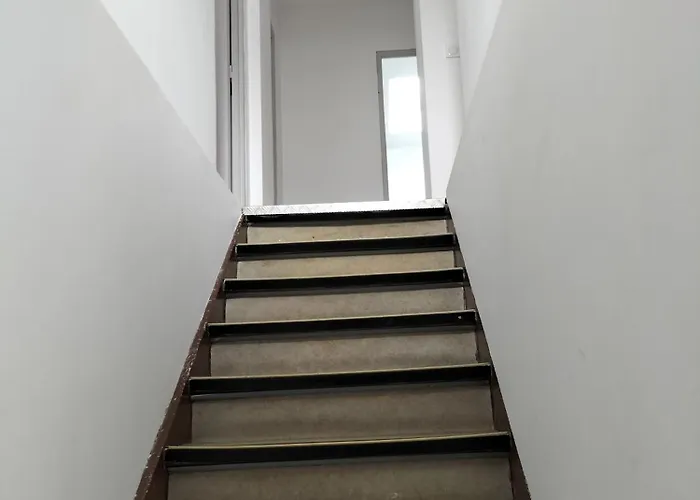 Maison A 8 Min De Saint En Lieu Calme Proche Nature Lacs, Foret, Parcs Appartement *