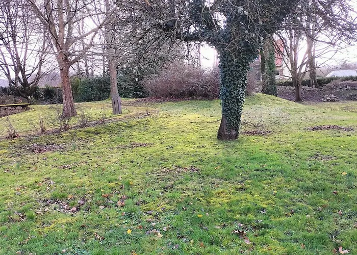 Maison A 8 Min De Saint En Lieu Calme Proche Nature Lacs, Foret, Parcs * Raon-lʼÉtape