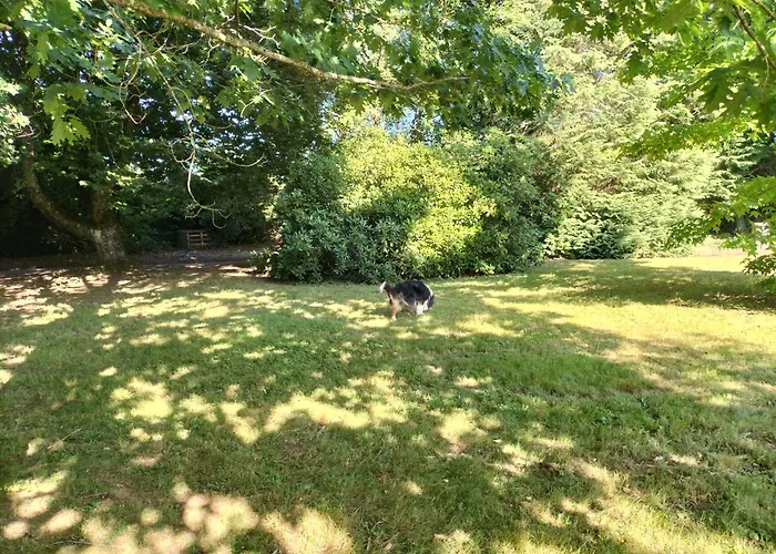 Appartement Maison A 8 Min De Saint En Lieu Calme Proche Nature Lacs, Foret, Parcs