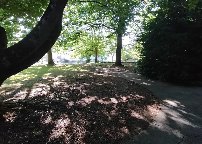 Appartement Maison A 8 Min De Saint En Lieu Calme Proche Nature Lacs, Foret, Parcs Raon-lʼÉtape